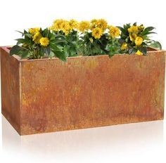 Cheap Big Flower Planter